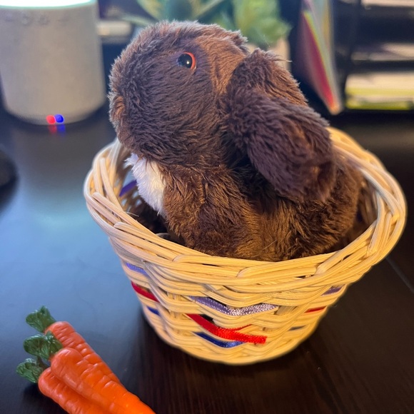 Nutmeg, Julie’s chocolate colored bunny. - Picture 2 of 8